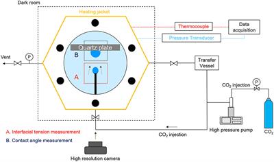 Biosurfactant as an Enhancer of Geologic Carbon Storage: Microbial Modification of Interfacial Tension and Contact Angle in Carbon dioxide/Water/Quartz Systems